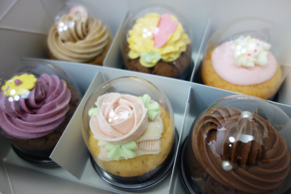 20130223.jpg