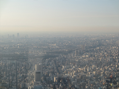 20160109b.jpg